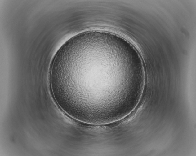 X0000110911533200906181332