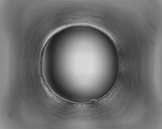 X0000110911534200906181332