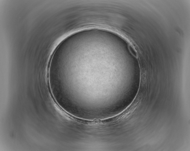 X0000110911535200906181332