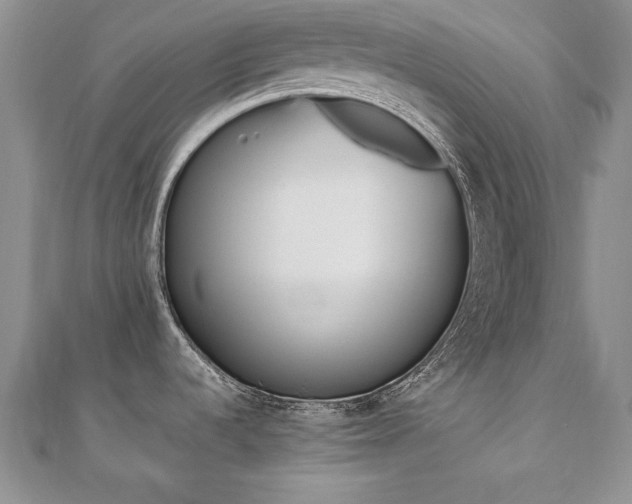 X0000110911536200906181332