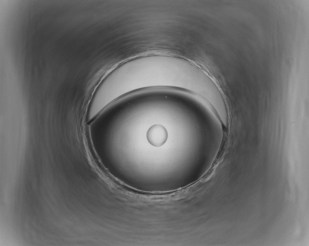 X0000110910001200906251407