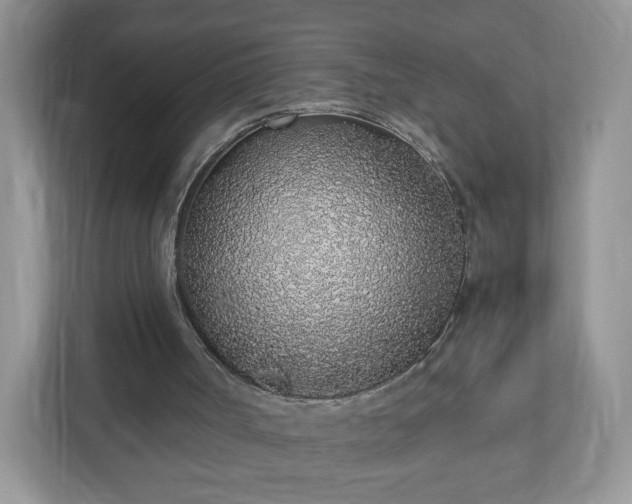 X0000110910002200906251407