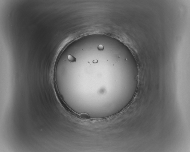 X0000110910003200906251407