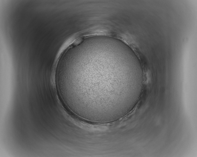 X0000110910004200906251407