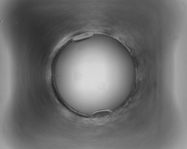 X0000110910005200906251407