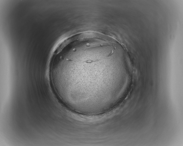 X0000110910006200906251407