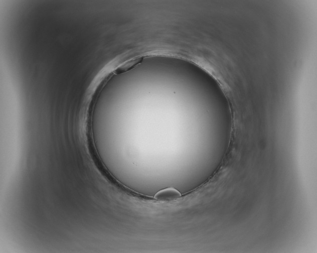 X0000110910007200906251407