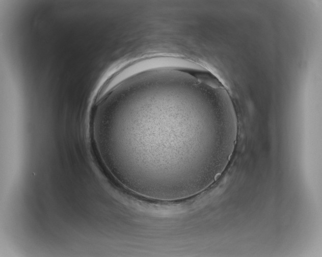 X0000110910008200906251407