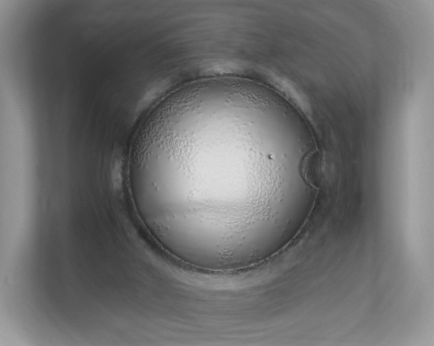 X0000110910010200906251407