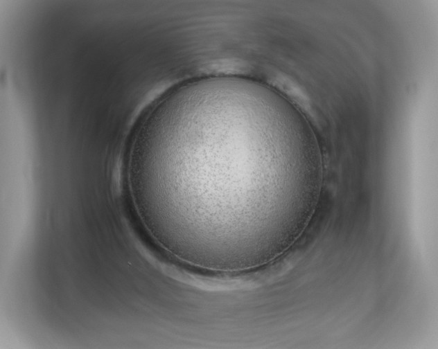 X0000110910012200906251407