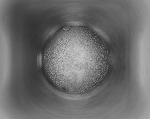 X0000110910014200906251407