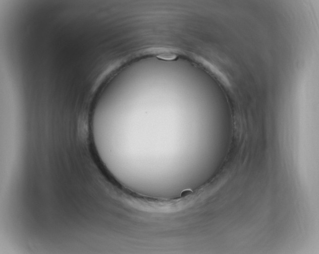 X0000110910015200906251407