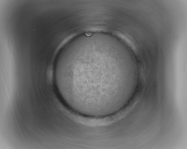 X0000110910016200906251407