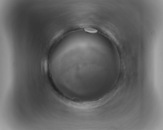 X0000110910019200906251407