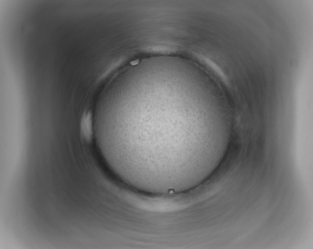 X0000110910020200906251407