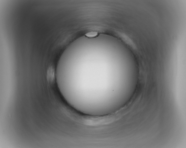 X0000110910021200906251407