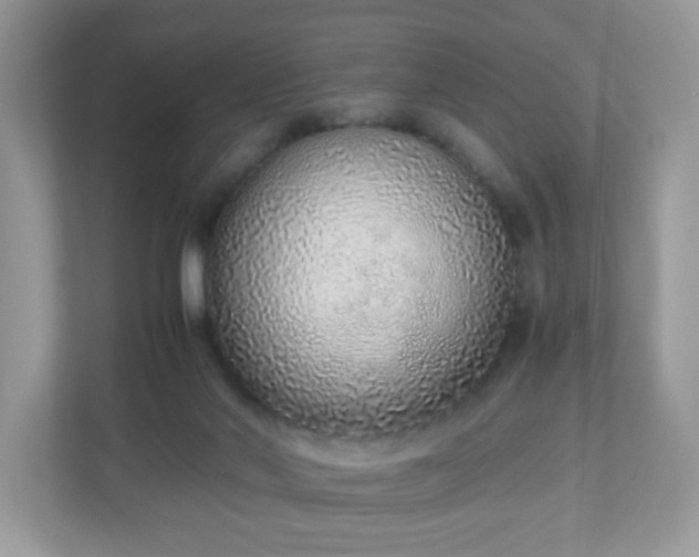 X0000110910022200906251407