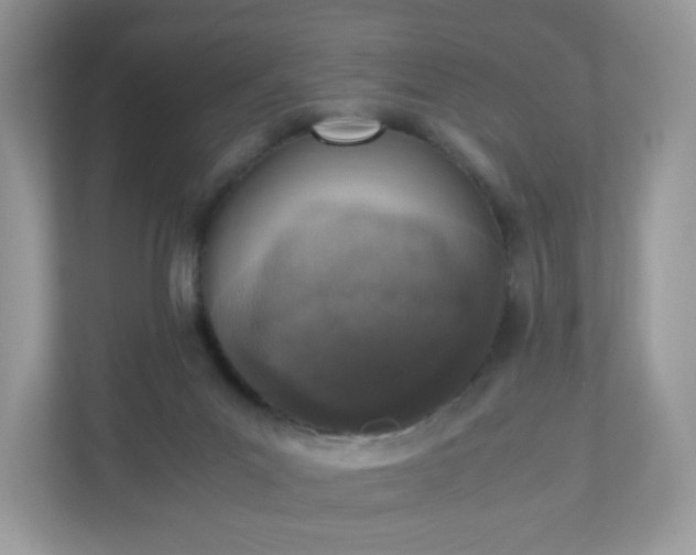 X0000110910023200906251407