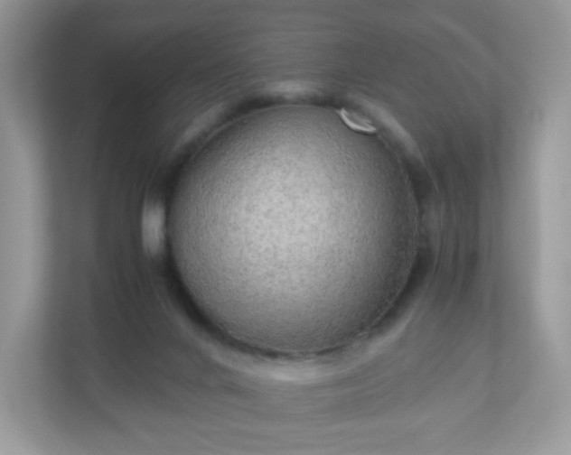 X0000110910024200906251407