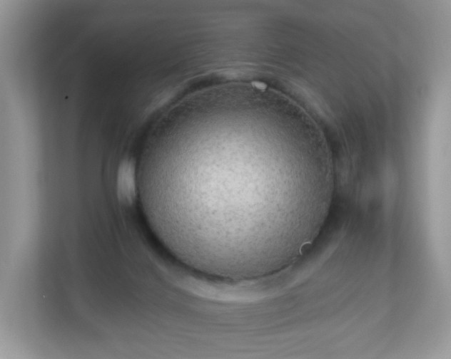 X0000110910028200906251407