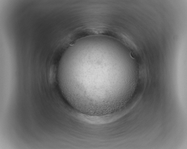 X0000110910030200906251407