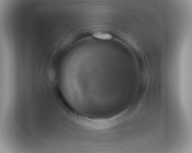 X0000110910031200906251407