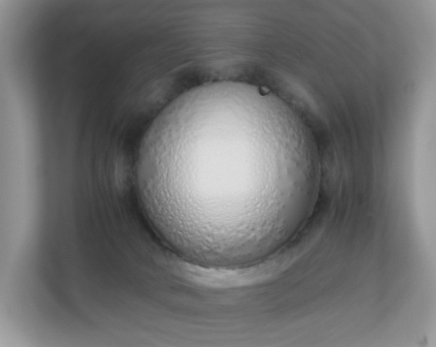 X0000110910034200906251407