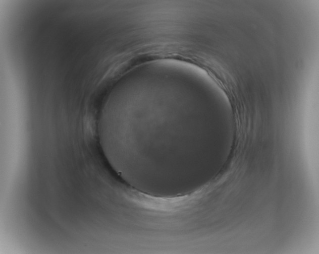 X0000110910035200906251407