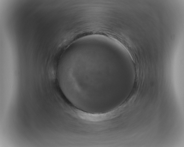 X0000110910039200906251407