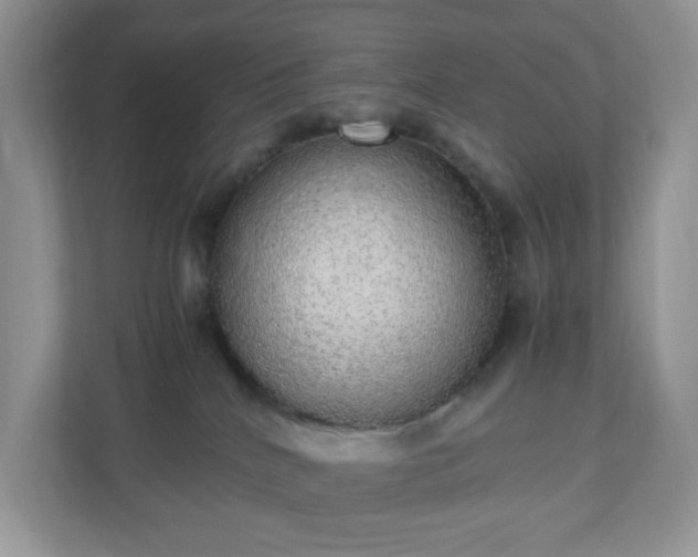 X0000110910040200906251407