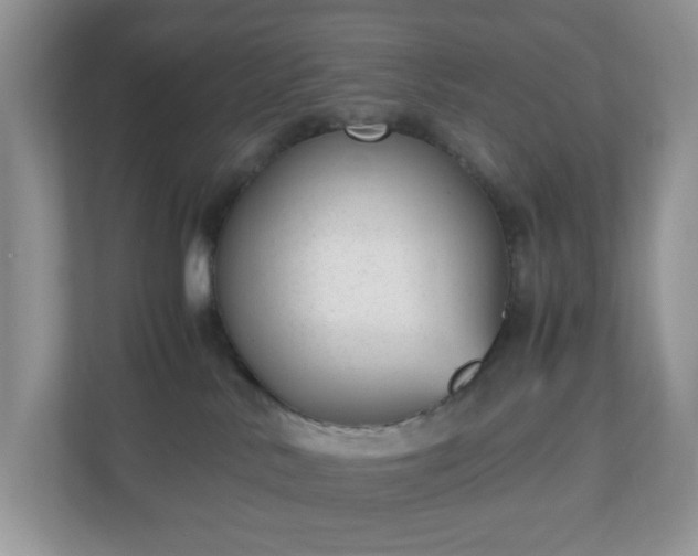 X0000110910042200906251407