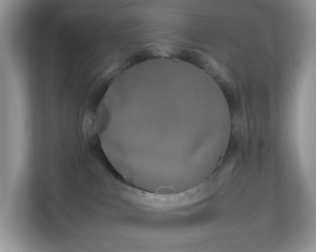 X0000110910043200906251407