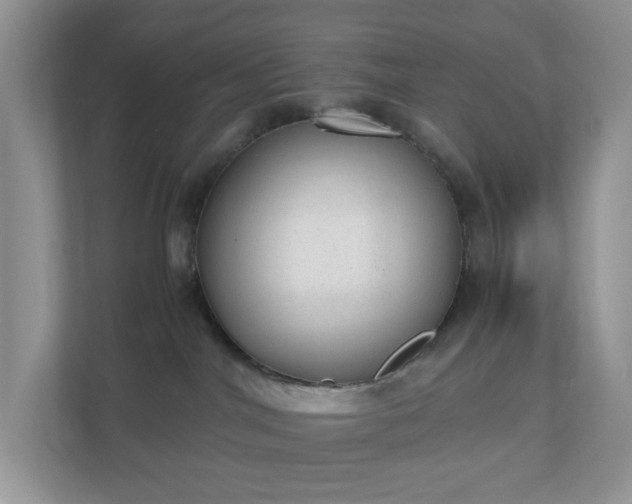 X0000110910044200906251407