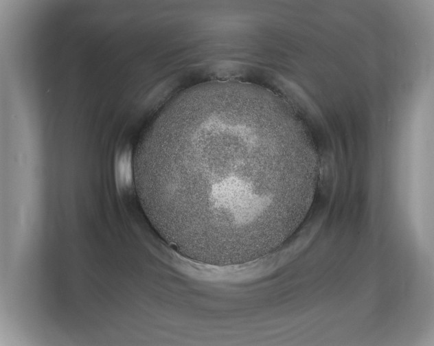 X0000110910046200906251407