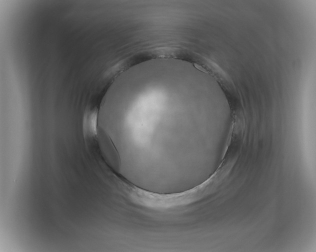 X0000110910047200906251407