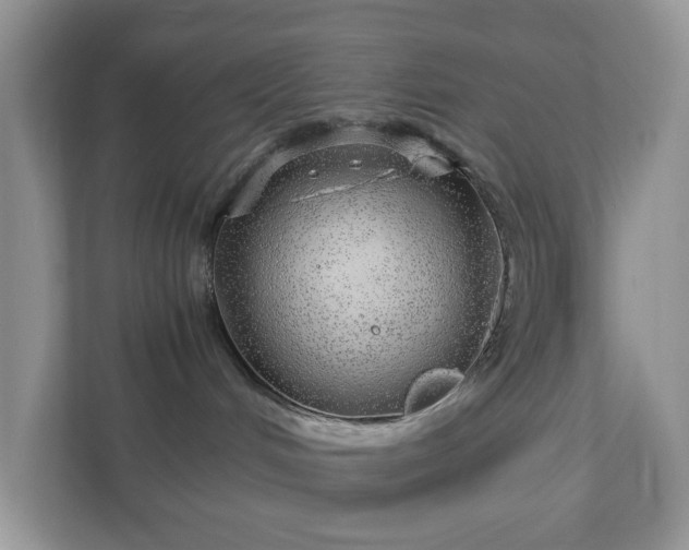 X0000110910048200906251407