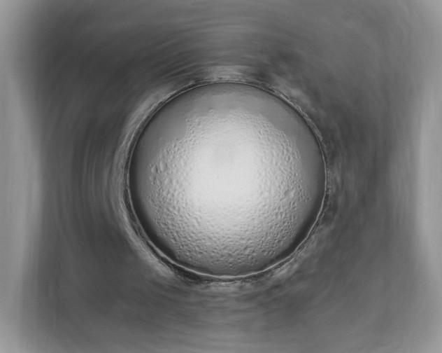 X0000110910049200906251406