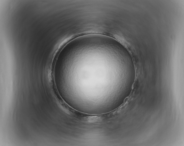 X0000110910050200906251406