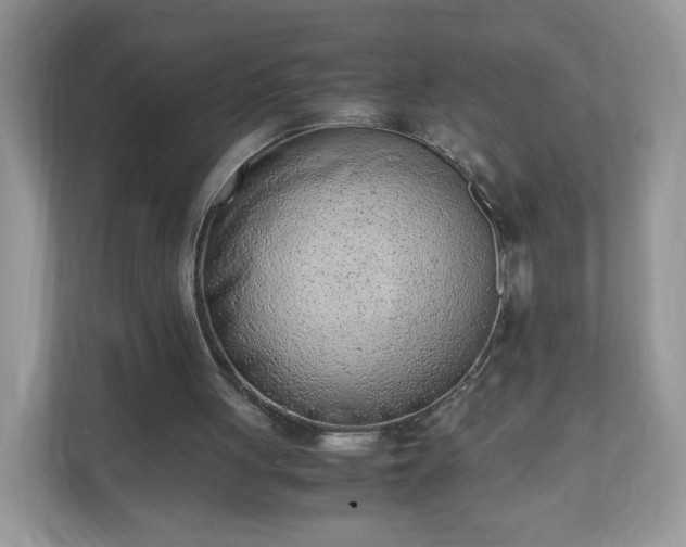 X0000110910051200906251406