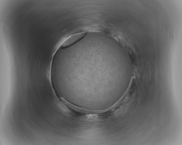 X0000110910052200906251406