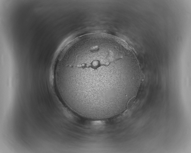 X0000110910053200906251406