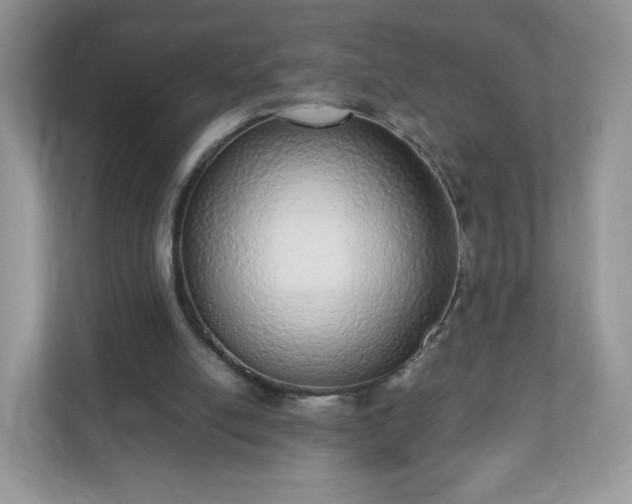 X0000110910054200906251406