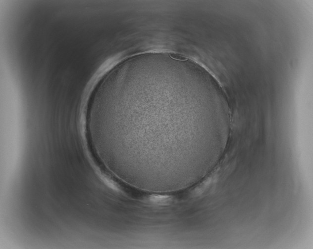 X0000110910055200906251406