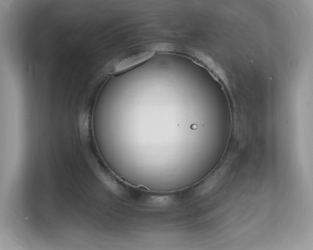 X0000110910057200906251406