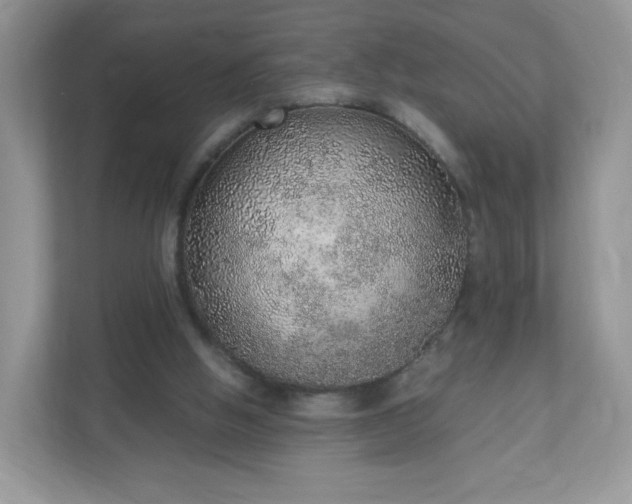 X0000110910058200906251406