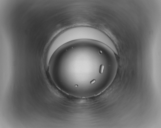 X0000110910060200906251406