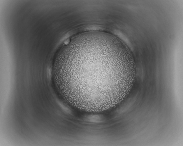 X0000110910063200906251406