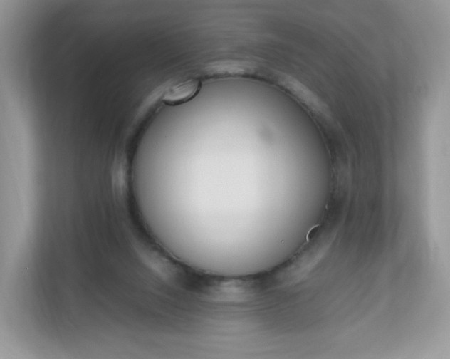 X0000110910064200906251406