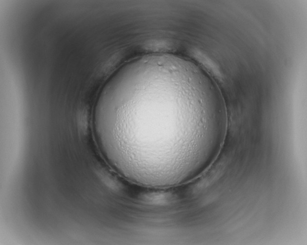 X0000110910065200906251406