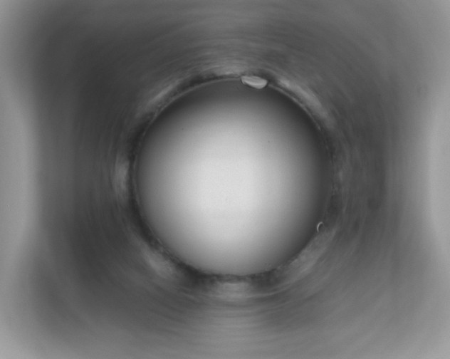 X0000110910066200906251406